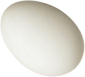 sous-vide-egg