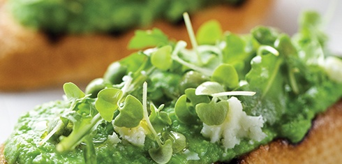 Centrifuged Green Pea Butter Crostini