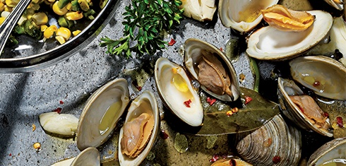 Cherry Stone Clams