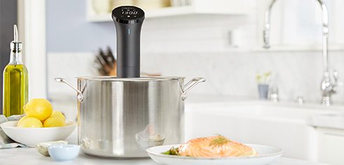 Sous Vide Deals on Amazon Prime Day 2019