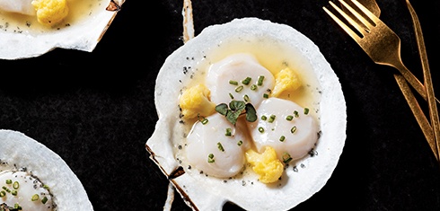 Scallop Crudo